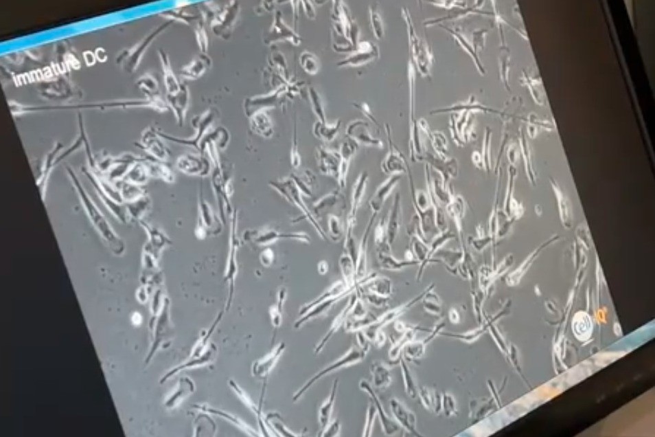 Screenshot_43.jpg