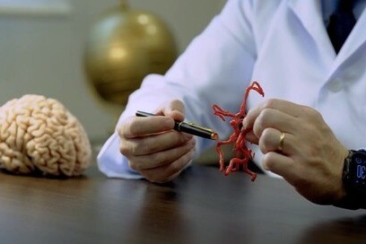 carotid13.jpg