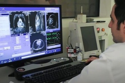 fmri1.jpg